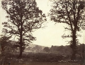 Paesaggio con olmi, Ashdown, Gran Bretagna