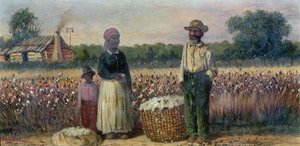 I raccoglitori di cotone nel Sud americano (scheda) (per la coppia vedere 67736)