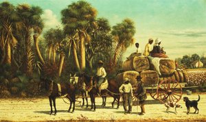 Il Carro del Cotone