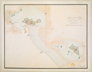 Mappe 8.Tab.C.8.80 da William Alexander