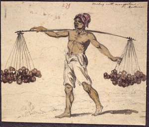 WD 961 f.279 da William Alexander