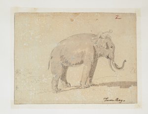 WD 961 f.2 da William Alexander