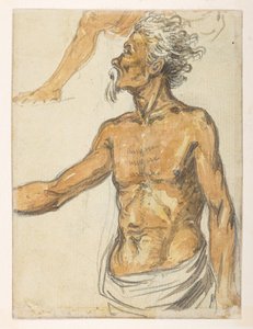 Uomo anziano, da un Album di 372 disegni di paesaggi, coste, costumi e vita quotidiana realizzati durante l