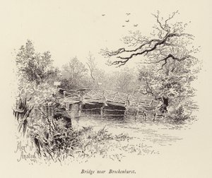 Ponte vicino a Brockenhurst da William Alexander Ansted