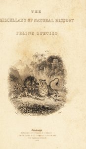 Frontespizio con vignetta di un leone che attacca una tigre (incisione) da William Alexander Forbes