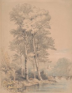 Castello di Llandovery, Galles del Sud da William Alfred Delamotte