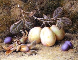 Natura morta con prugne e noci