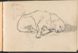 Schizzo di un cane che dorme da William Barnes Wollen