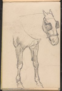 Schizzo di cavallo con paraocchi da William Barnes Wollen
