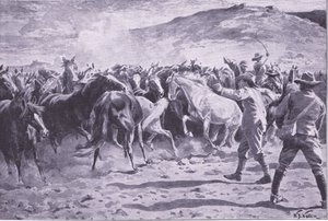 La cattura dei cavalli nel distretto di Brandwater vicino a Fouriesburg: radunare la mandria, illustrazione da After Pretoria: The Guerilla War, 1902