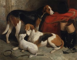 Una coppia di segugi di Lord Henry Bentinck con un terrier da William Barraud