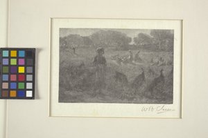Il pascolo dei tacchini