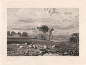 Crowhurst, Sussex da William Bernard Cooke