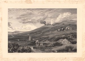 Dartmoor; Sorgente del Tamar e del Torridge