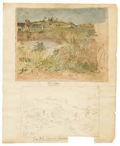 Quattro sentieri, Montagne di Clarendon, Giamaica da William Berryman