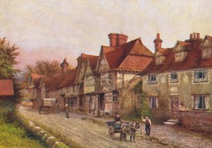 Chiddingstone dall