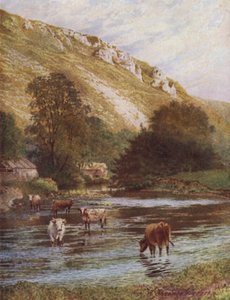 Sul Wye, Upper Dale Farm, Monsal Dale (litografia a colori)