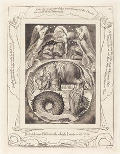 Behemoth e Leviathan