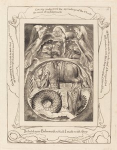 Behemoth e Leviathan