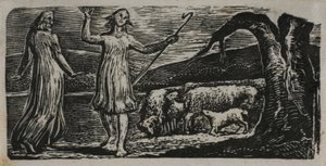 Colinet parte con dolore: Tronco spezzato a destra, da Le pastorali di Virgilio da William Blake