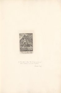 Per i Sessi - Le Porte del Paradiso, Tavola 9, Ahimè! da William Blake