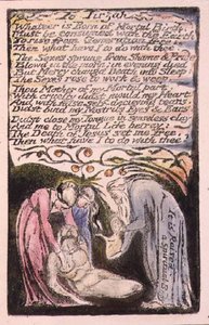 A Tirzah: tavola 51 da 