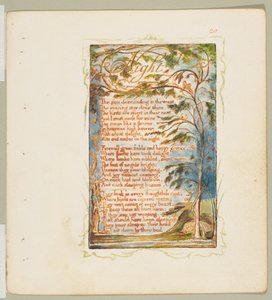 Canzoni dell