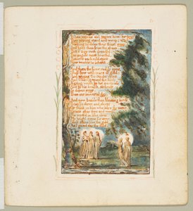 Canzoni dell