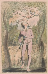 Canzoni dell