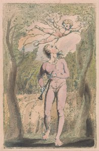 Canzoni dell