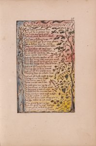 Canzoni dell