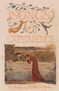 Canzoni dell