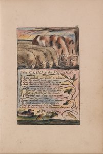 Canzoni dell