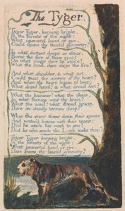 Canzoni dell