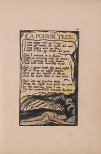 Canzoni dell
