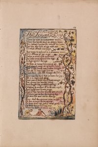 Canzoni dell