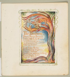 Canzoni dell