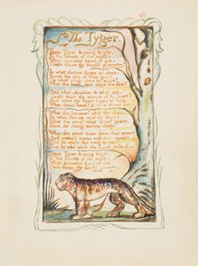 Canzoni dell