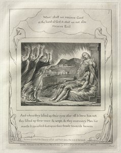 Il Libro di Giobbe: No. 7, E quando alzarono gli occhi da lontano e non lo riconobbero, alzarono le voci e piansero da William Blake