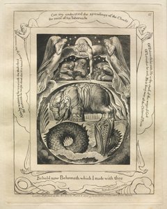 Il Libro di Giobbe: Tav. 15, Ecco ora Behemoth che ho fatto con te