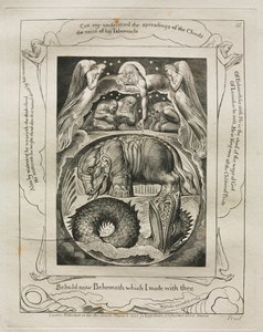 Il Libro di Giobbe: Pl. 15, Ecco ora Behemoth che ho fatto con te, 1825