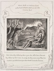 Il libro di Giobbe: Pl. 7, E quando alzarono gli occhi da William Blake