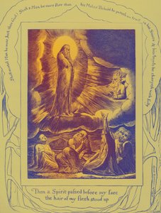 Il libro di Giobbe, illustrazioni di William Blake da William Blake