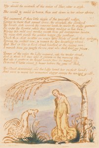 Il libro di Thel, Tavola 4, Perché la padrona... da William Blake