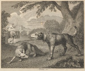 Il Cane e la Volpe da William Blake