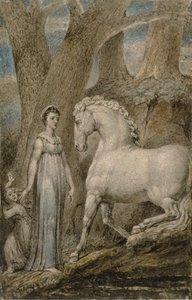 Il cavallo da William Blake