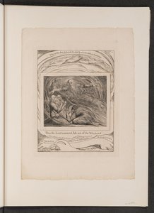 Il Signore risponde a Giobbe dal turbine da William Blake