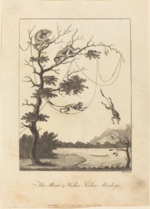 Le Scimmie Mecoo e Kisbee Kishee, 1793 da William Blake