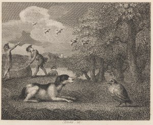 Il cane da ferma e la pernice da William Blake