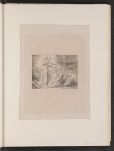 La visione di Cristo da William Blake